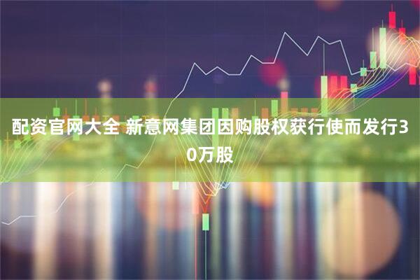配资官网大全 新意网集团因购股权获行使而发行30万股
