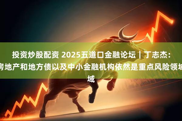 投资炒股配资 2025五道口金融论坛｜丁志杰：房地产和地方债以及中小金融机构依然是重点风险领域