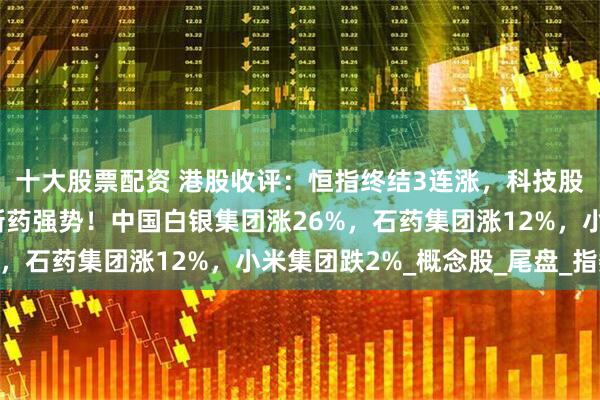 十大股票配资 港股收评：恒指终结3连涨，科技股弱势，有色金属、创新药强势！中国白银集团涨26%，石药集团涨12%，小米集团跌2%_概念股_尾盘_指数