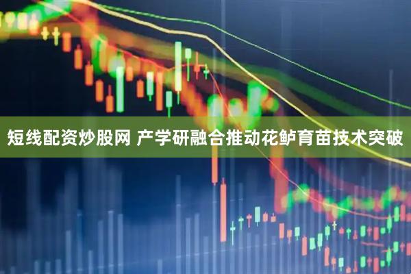 短线配资炒股网 产学研融合推动花鲈育苗技术突破