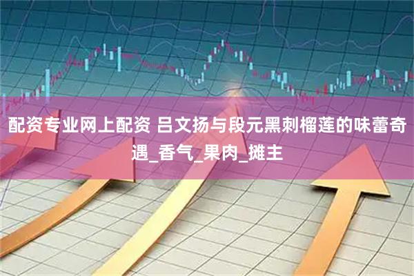 配资专业网上配资 吕文扬与段元黑刺榴莲的味蕾奇遇_香气_果肉_摊主